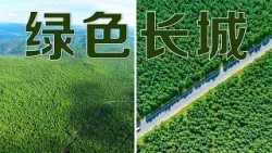 中国治沙人创造“生态奇迹”!从荒山沙海到绿水青山,三北防护林工程是怎样筑就“绿色长城”的?| LIVE NOW 中国治沙人创造“生态奇迹”!从荒山沙海到绿水青山,三北防护林工程是怎样筑就“绿色长城”的?| LIVE NOW