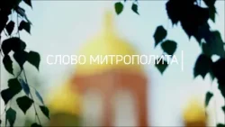 Слово митрополита Никиты 28 марта 2026 года