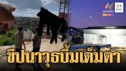 แรงงานไทยในอิสราเอล หนีตายขีปนาวุธลงเต็มตา | ข่าวอรุณอมรินทร์ | 02/03/69