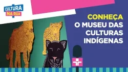 Descubra o Museu das Culturas Indígenas em São Paulo!