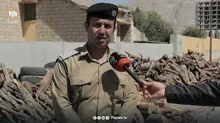 سۆران.. دابەشنەكردنی سووتەمەنی هاوڵاتییان ناچار بە بڕینەوەی درەختەكان دەكات