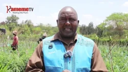KAMEME_251026_1PM_PKG_EMBRACING MODERN FARMING METHODS_MATHEW