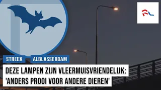 Why do the lights on the Noord Bridge have a different color?