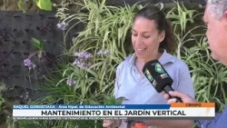 Raquel Gorostiaga   Mantenimiento en el jardín vertical del municipio