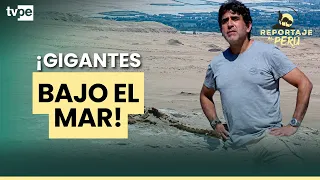 El desierto peruano que esconde animales de hace 40 millones de años