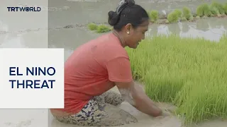 Super El Nino storms threaten agriculture in Philippines