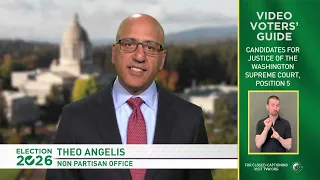 2026 Video Voters' Guide - Theo Angelis