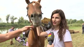 DNEVNIK 19.09.2026. Osječka televizija