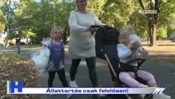 Állattartás csak felelősen! – ZTV Híradó 2026-10-08