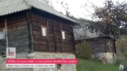 Koliko je suza stalo u srce jedne sandžačke majke