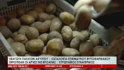 Πριν το Πάσχα στην αγορά οι πρώιμες πατάτες | Ευρωπαϊκός συναγερμός για φυτοφάρμακα που εντοπίστηκαν