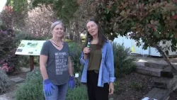 NCN - Spring Equinox UC Master Gardeners of Nevada County NCN - Spring Equinox UC Master Gardeners of Nevada County