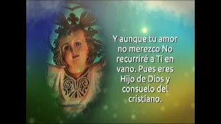 Novena to the Divine Child Jesus - Day 7