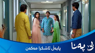 بندیا پلانێکی گەورەی هەیە و دەڵێت جارێ پایەڵ ئاشکرا ناکەم