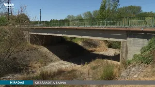 Kiszáradt a Tarna - 2026.08.25.