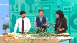 Di Buon Mattino (TV2000) - Flowers and plants inspired by the saints