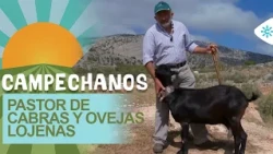 0000049486___campechanos-20261014_1458_0000