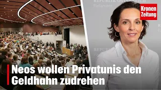 NEOS want to cut funding for private universities | krone.tv NEWS