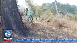 Continúan ataques con drones en la Sierra de Petatlán incendian pastizales de cinco ejidos
