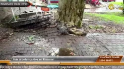 Another area affected by the strong wind