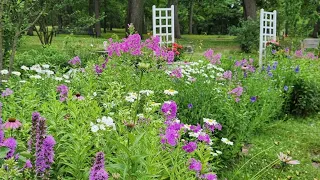 A flight through the flowers | PhotoLink Library