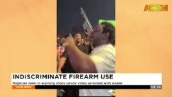 Indiscriminate Firearm Use: Nigerian seen in warning shots salute video arrested with Asake - News