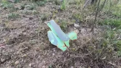 A look at the site of a deadly helicopter crash near Superior