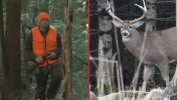Deer hunting season underway in Maine