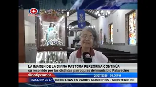 The image of the Divina Pastora continues its journey through the various parishes in Palavecino
