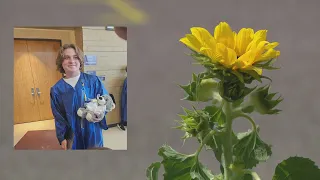 14-year-old boy dies after e-moto crash with SUV in Wauconda