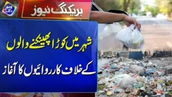 Shehar Mein Kooda Phenkne Walon Ke Khilaf Karwaiyon Ka Aaghaz! | Breaking News | Lahore Rang