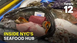 NYC unveils big plans for Fulton Fish Market