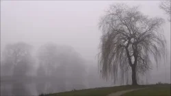 Mist boven de proosdijvijver (Natuurlijk! 16-03-2026)