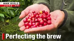 How Taiwan is becoming a specialty coffee playerーNHK WORLD-JAPAN NEWS How Taiwan is becoming a specialty coffee playerーNHK WORLD-JAPAN NEWS