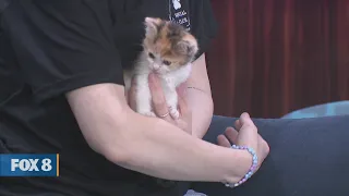 New Day Cleveland: Feral Friends of Shaker