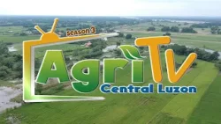 #AgriTVCentralLuzon | Season 3 Episode 18 Part 2