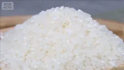 MAFF Forecasts 2027 Rice Production at 6.93 Million Tons; Nearly 500,000 Ton Decrease Expected Co...