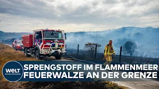 SEA OF FLAMES IN THE NETHERLANDS: Explosives in the fire – Forest fire near Germany becomes a hel...
