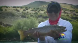 Pesca- Visión. Pesca deportiva