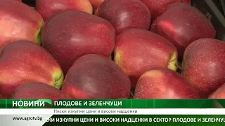 Цветан Цеков: Ниските изкупни цени и високите надценки притискат сектор „Плодове и зеленчуци“