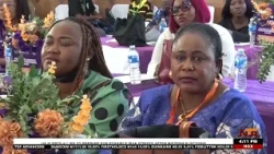 Can Nigeria Meet the 2030 Target to End NTDs, HIV, Malaria and TB?