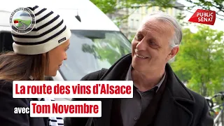 The Alsace Wine Route with Tom Novembre