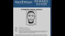 Police investigating attempted sexual assault of juvenile in Mesa