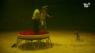 Theater - Le Mans puts on its Circus Zusammen