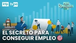 Cómo la educación mejora la empleabilidad en jóvenes | Más conectados