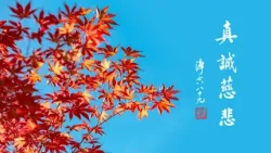 淨空老法師｜大經專修｜為什麼歡喜心生不起來-第2147集