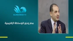 Dr. Tarek Al-Bardisi: Egypt Is the Most Qualified to Achieve Détente Between Iran and the Gulf.. ...