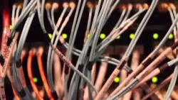 В штате Алабама выделены гранты на развитие высокоскоростного интернета.