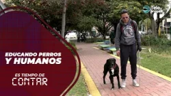 Training Dogs and Humans on Es Tiempo de Contar #teleamiga