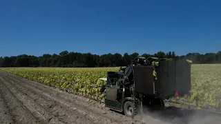 Rising diesel prices deepen financial strain for NC farmers